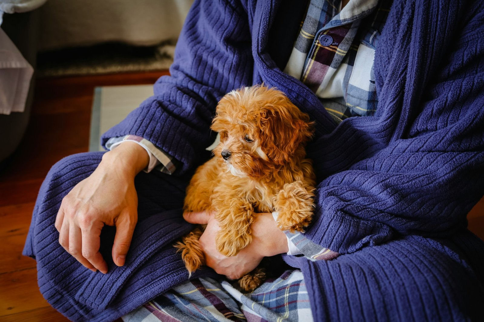 a person holding a dog